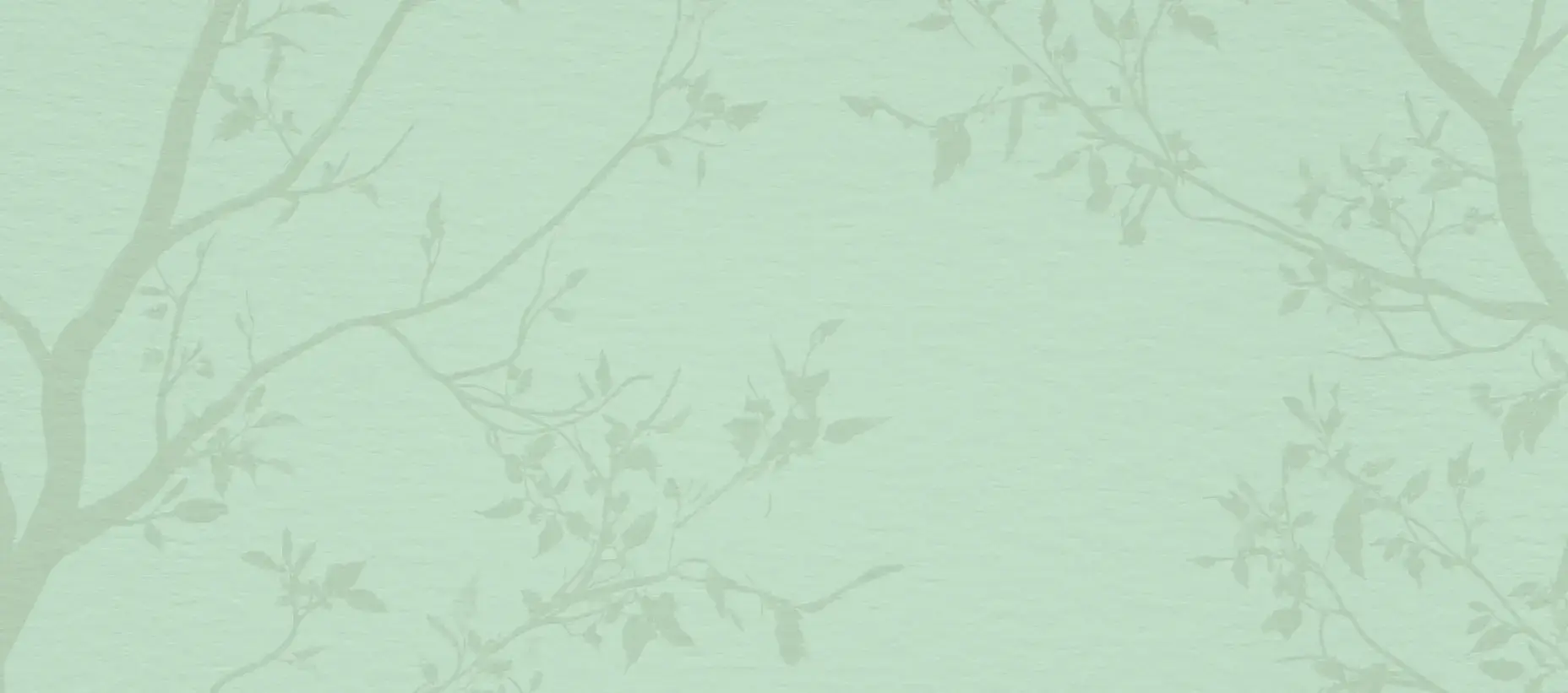 CTA background